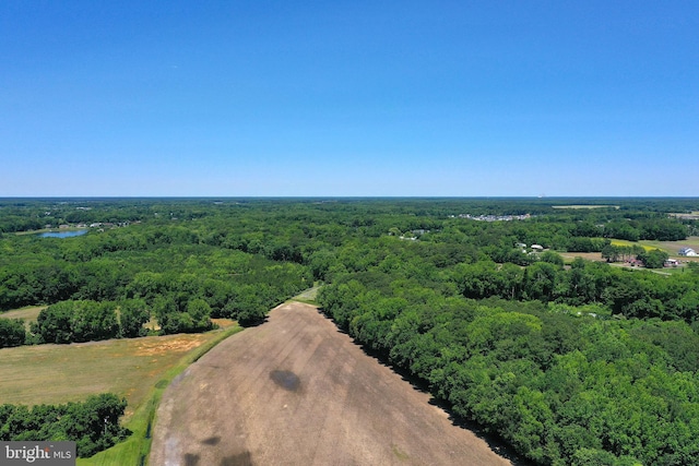 13220 Bank St, Bishopville, MD 21813 - aerial view of a forest
