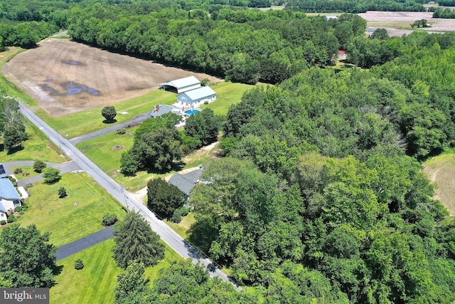 13220 Bank St, Bishopville, MD 21813 - drone / aerial view of a heavily wooded area