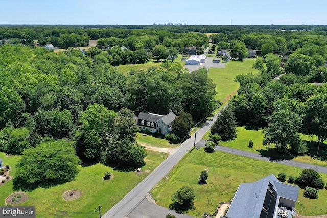 13220 Bank St, Bishopville, MD 21813 - drone / aerial view