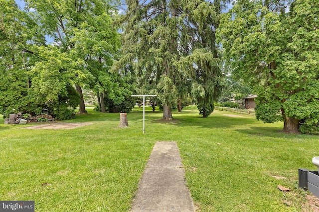 3415 E Market St, York, PA 17402 - view of grassy yard