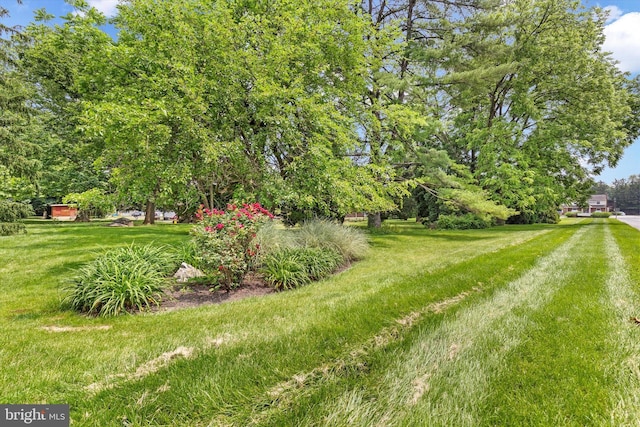 3415 E Market St, York, PA 17402 - view of grassy yard