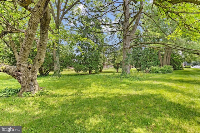 3415 E Market St, York, PA 17402 - view of green lawn