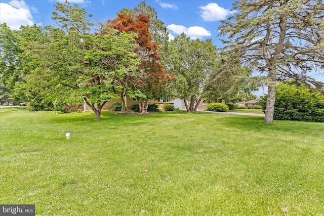 3415 E Market St, York, PA 17402 - view of green lawn