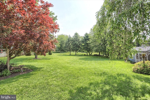 74 Acker Rd, Newport, PA 17074 - view of grassy yard