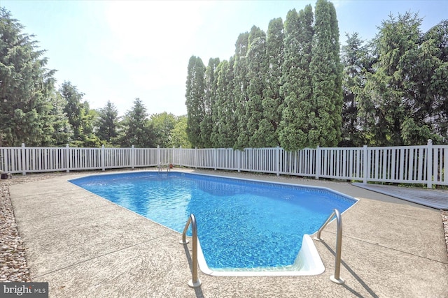 74 Acker Rd, Newport, PA 17074 - view of pool featuring a fenced backyard and a patio