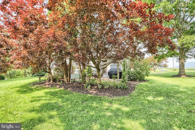 74 Acker Rd, Newport, PA 17074 - view of grassy yard with a patio