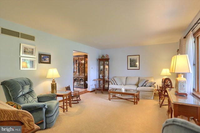 74 Acker Rd, Newport, PA 17074 - living area featuring carpet