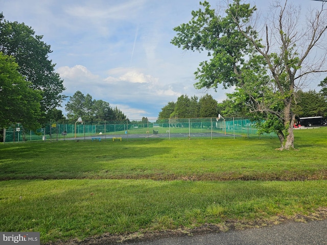 36652 Woodbush Dr, Bushwood, MD 20618 - view of yard