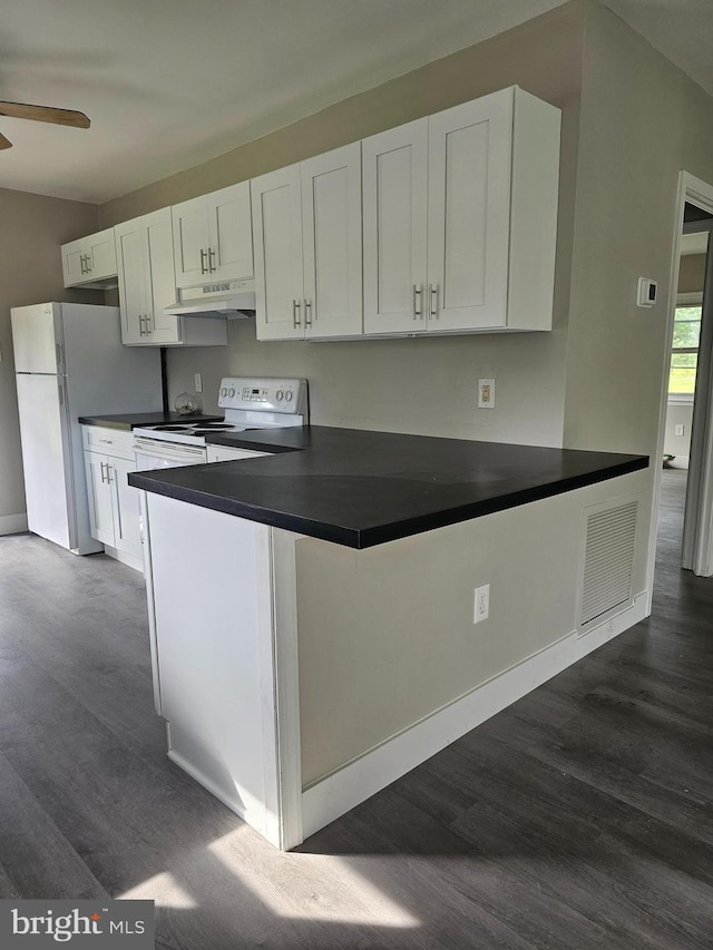 36652 Woodbush Dr, Bushwood, MD 20618 - kitchen featuring white appliances, under cabinet range hood, dark countertops, and dark wood finished floors