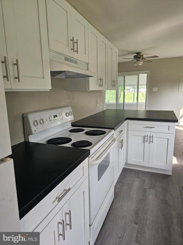 36652 Woodbush Dr, Bushwood, MD 20618 - kitchen featuring electric stove, under cabinet range hood, dark wood finished floors, a peninsula, and dark countertops