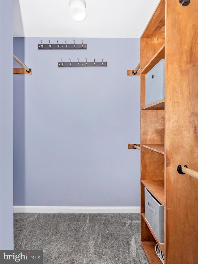 6848 Whistling Swan Way, New Market, MD 21774 - spacious closet featuring carpet floors