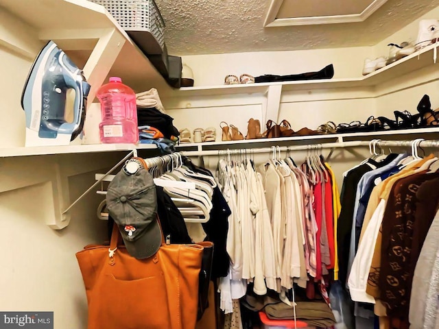 13533 Demetrias Way, Germantown, MD 20874 - spacious closet with attic access