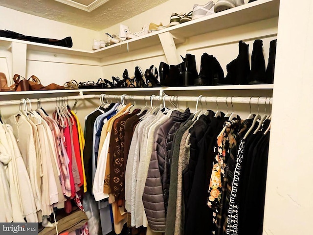 13533 Demetrias Way, Germantown, MD 20874 - view of spacious closet