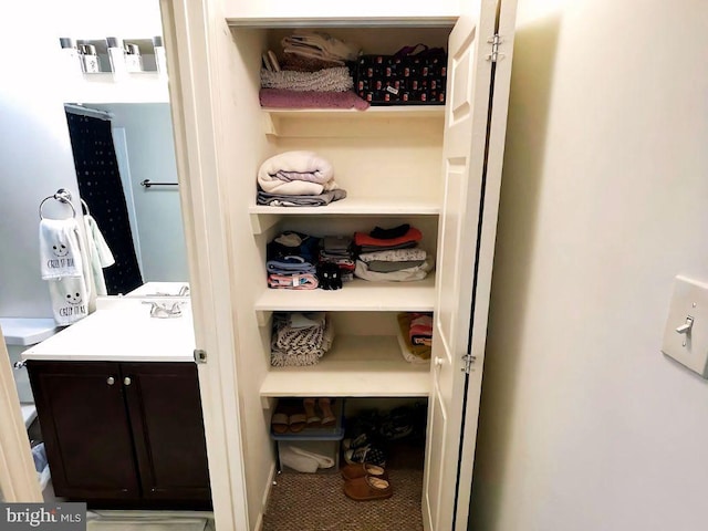 13533 Demetrias Way, Germantown, MD 20874 - closet with a sink