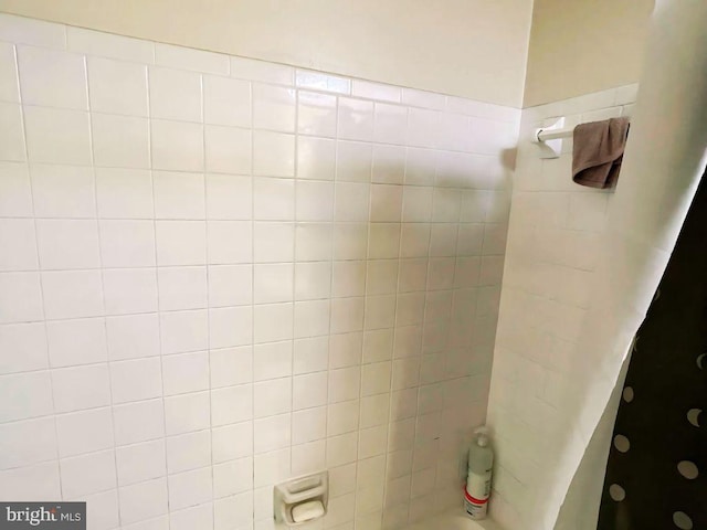 13533 Demetrias Way, Germantown, MD 20874 - bathroom with shower / washtub combination