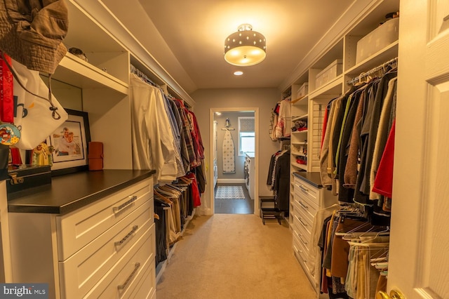 2440 Saddlebrook Rd, Macungie, PA 18062 - walk in closet with light colored carpet