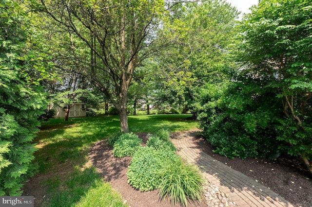 2440 Saddlebrook Rd, Macungie, PA 18062 - view of green lawn
