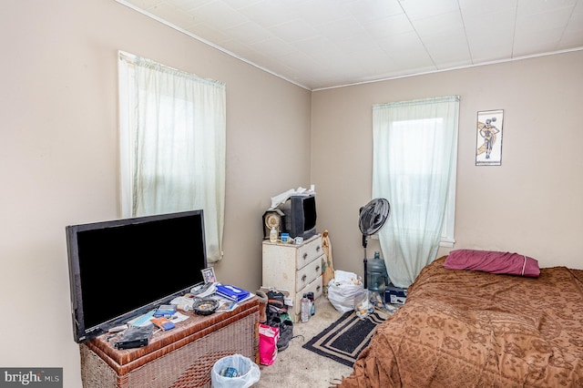 17 Clark St, Duncannon, PA 17020 - bedroom featuring carpet and crown molding