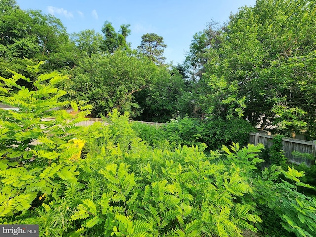 3486 Marble Arch Dr, Pasadena, MD 21122 - view of undeveloped land