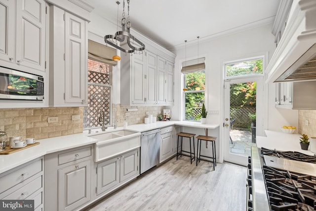 1827 Phelps Pl NW, Washington, DC 20008 - kitchen featuring stainless steel appliances, premium range hood, a sink, tasteful backsplash, and light wood finished floors