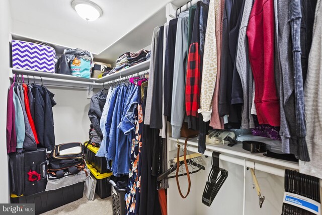23170 Longview Blvd, Bushwood, MD 20618 - spacious closet with carpet flooring