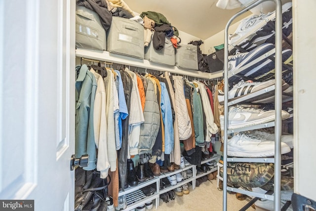 315 Coventry Ct, Mantua, NJ 08051 - walk in closet with carpet floors