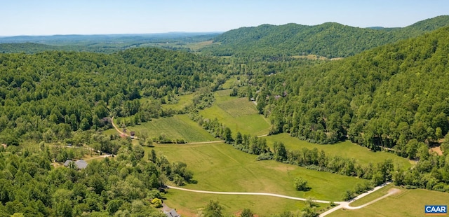 1362 Fortunes Cove Ln, Lovingston, VA 22949 - aerial view of a heavily wooded area