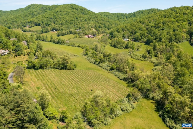 1362 Fortunes Cove Ln, Lovingston, VA 22949 - aerial view of sparsely populated area with a heavily wooded area