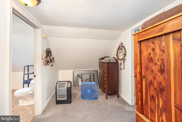 15-17 Locust St, Duncannon, PA 17020 - sitting room featuring carpet floors, vaulted ceiling, heating unit, and baseboards