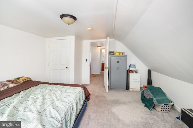 15-17 Locust St, Duncannon, PA 17020 - bedroom featuring vaulted ceiling and light colored carpet