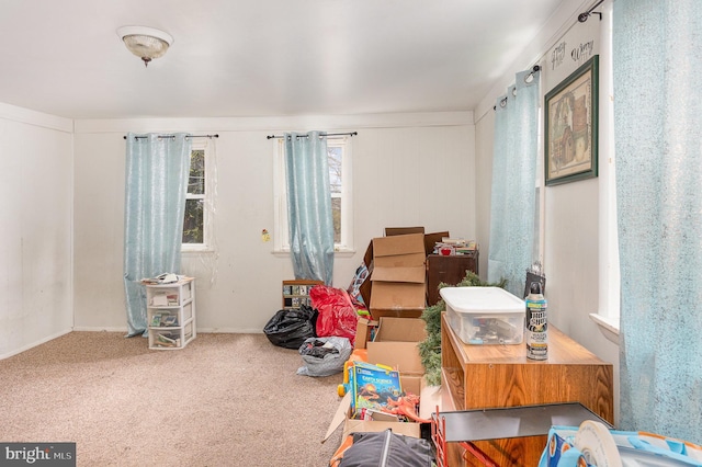 15-17 Locust St, Duncannon, PA 17020 - misc room featuring carpet floors and baseboards