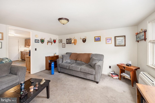 15-17 Locust St, Duncannon, PA 17020 - living room featuring light colored carpet and baseboards