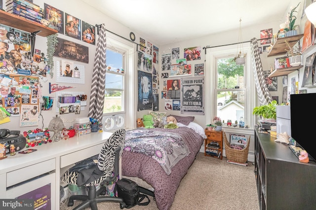 28 Laudermilch Rd, Halifax, PA 17032 - bedroom with a desk and light colored carpet