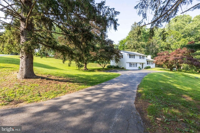 549 E Lafayette Dr, West Chester, PA 19382 - view of front of property featuring asphalt driveway and a front lawn