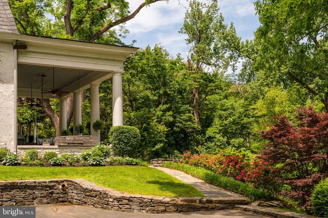 11 Conshohocken State Rd, Gladwyne, PA 19035 - view of grassy yard featuring a ceiling fan