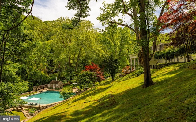 11 Conshohocken State Rd, Gladwyne, PA 19035 - outdoor pool with a lawn