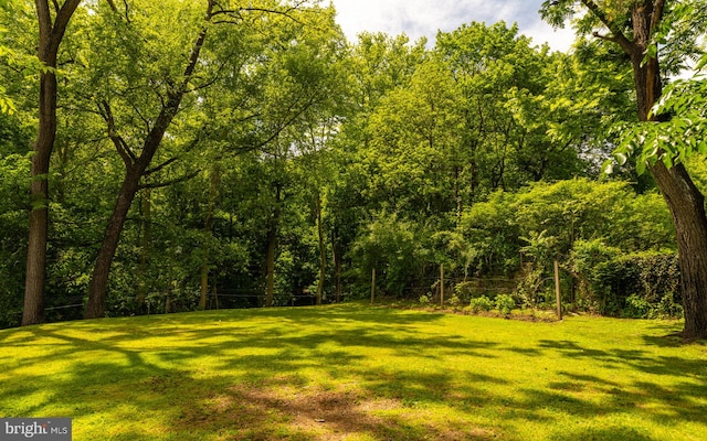 11 Conshohocken State Rd, Gladwyne, PA 19035 - view of grassy yard featuring a wooded view