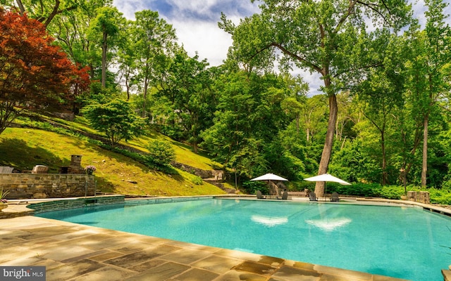 11 Conshohocken State Rd, Gladwyne, PA 19035 - outdoor pool featuring a patio