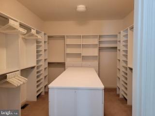 339 Carlisle Dr, Avondale, PA 19311 - view of walk in closet