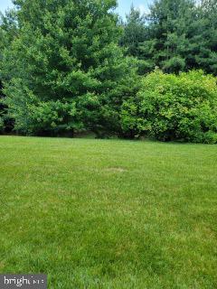 339 Carlisle Dr, Avondale, PA 19311 - view of grassy yard