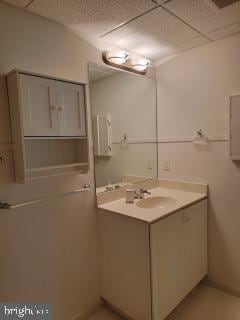 339 Carlisle Dr, Avondale, PA 19311 - bathroom with vanity and a drop ceiling