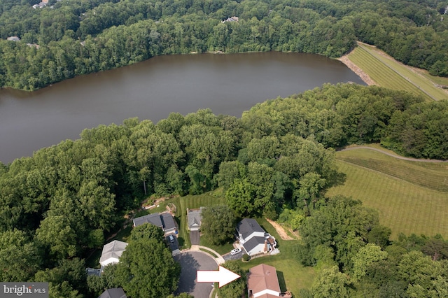 8105 Overlake Ct, Fairfax Station, VA 22039 - view of property location featuring a forest and a large body of water