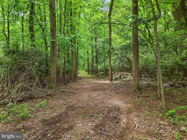 Jerusalem School Rd, Mount Wolf, PA 17347