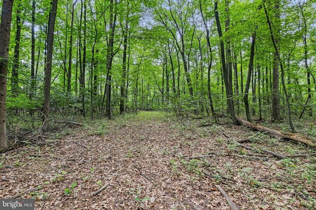 Jerusalem School Rd, Mount Wolf, PA 17347
