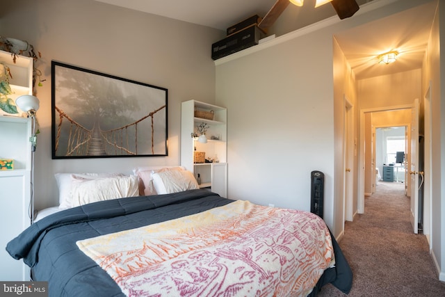 20468 Alicent Ter, Ashburn, VA 20147 - view of carpeted bedroom