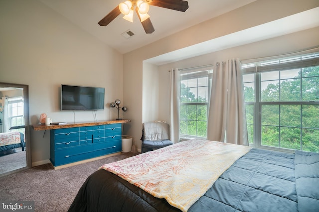 20468 Alicent Ter, Ashburn, VA 20147 - carpeted bedroom with multiple windows, vaulted ceiling, and a ceiling fan
