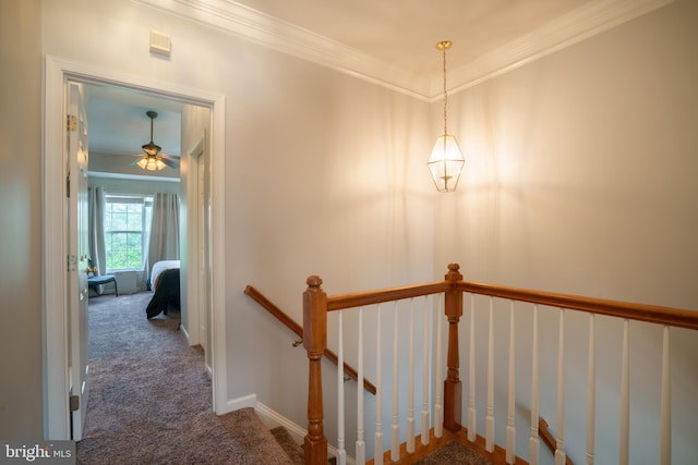20468 Alicent Ter, Ashburn, VA 20147 - staircase featuring carpet floors, a ceiling fan, and ornamental molding