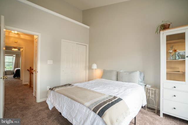 20468 Alicent Ter, Ashburn, VA 20147 - bedroom with carpet flooring and a closet