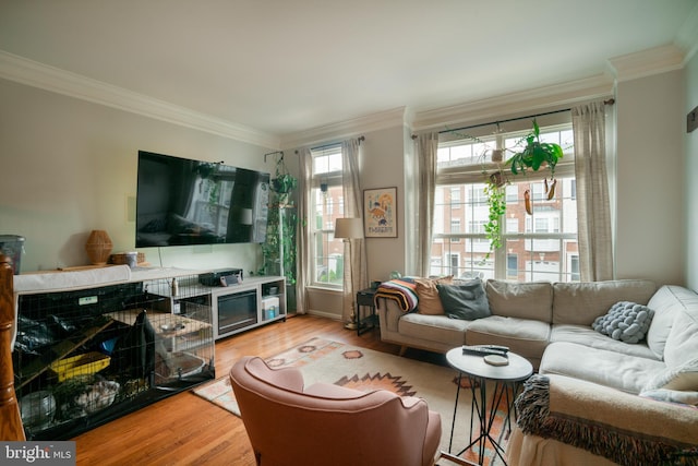 20468 Alicent Ter, Ashburn, VA 20147 - living room featuring ornamental molding and wood finished floors