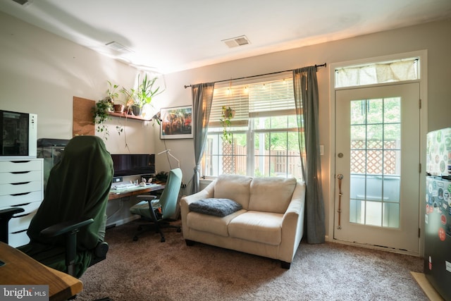 20468 Alicent Ter, Ashburn, VA 20147 - view of carpeted office